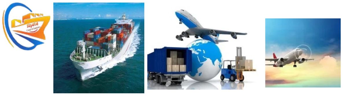 Professional Services,Freight Forwarding Service, Custom Clearance Service, Cargo Service, Certificate Service, Fumigation Service, International Logistics Service, Warehouse And Distribution Service, Project Cargo Handling Service, Import Export License, Shipping Container Service 