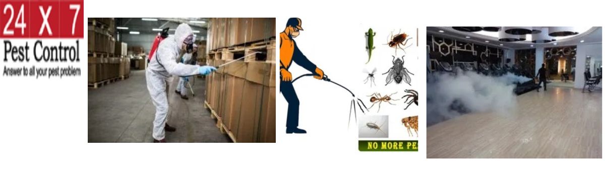 Pest Control Services,Residential Pest Control Service,Commercial Pest Control Service,Household Pest Control Services,Virus Fumigation Service,Industrial Pest Control Service,Disinfectant Cleaning Services