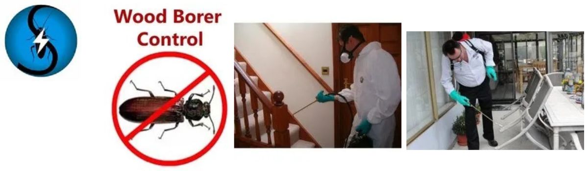 Pest Control Services,Bed Bugs Pest Control Services,Wood Borer Control Services,Rodent Pest Control Services,Rat Pest Control Services,Cockroaches Pest Control Services 
