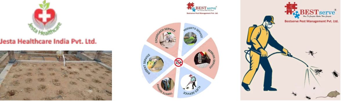 Pest Control Services,Commercial Pest Control Service,Residential Pest Control Service - Cockroach Service,Anti Termite Soil Treatment