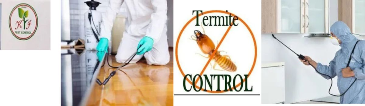 Home and Office, Pest Control,Pest Control Services, Net Installation Service, Office Termite Treatment Services,Pigeon Bird Net Services,Sports Net Installation Services,Cockroach Pest Control Services
