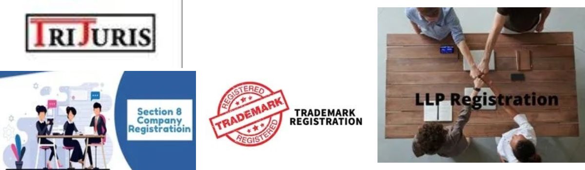 Professional Services,Advocates,Section 8 Company Registration,NGO Registration Service,One Person Company Registration Service,Public Company Registration Service,Trademark Renewal Service